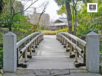  Timber Bridges