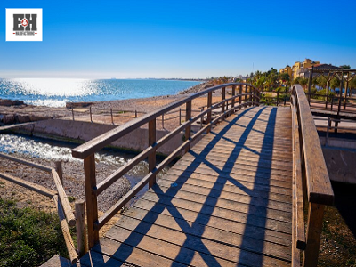 Timber Bridges