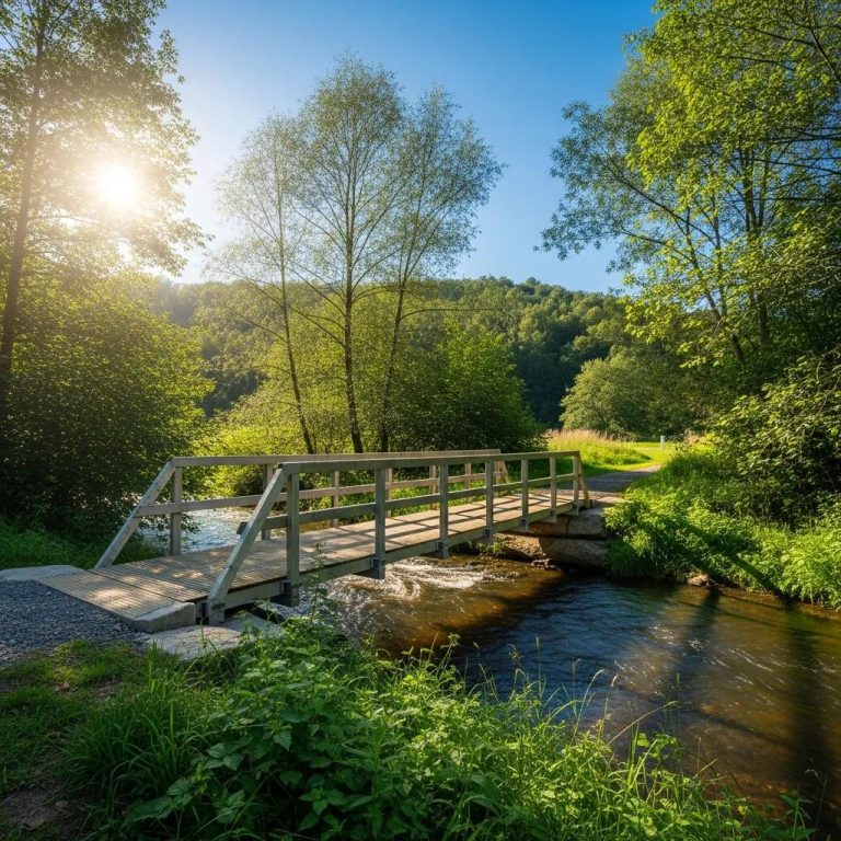 Wooden access bridge over a stream surrounded by lush greenery, illustrating temporary stream crossing solutions and environmental harmony.