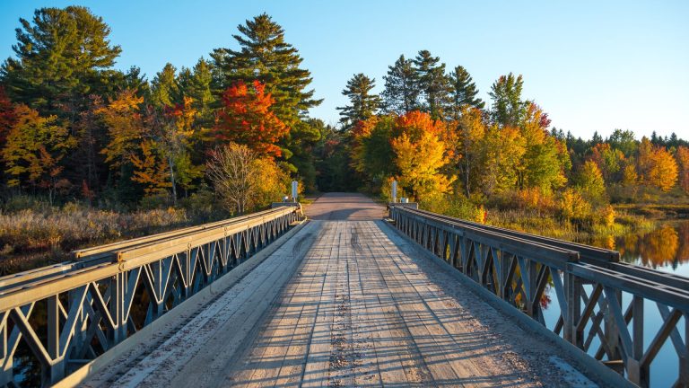 Timber bridge surrounded by autumn foliage, showcasing stress-laminated construction and natural aesthetics.