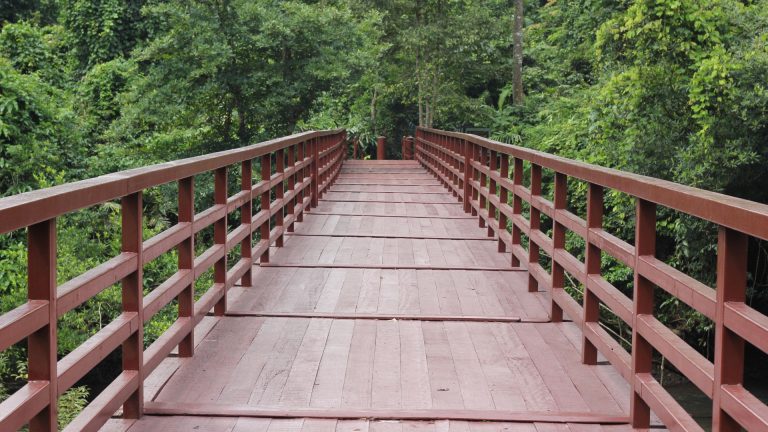 Timber bridge pathway surrounded by lush greenery, highlighting eco-friendly design and construction.