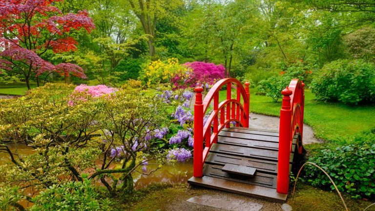 Red wooden bridge over a tranquil pond surrounded by vibrant flowers and lush greenery, symbolizing nature and design harmony in landscaping.