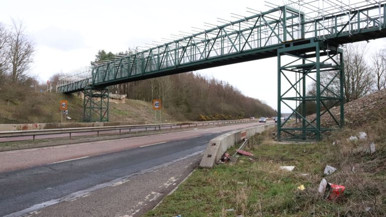 Temporary steel bridge over a highway, showcasing engineering design for access and safety, surrounded by natural landscape.