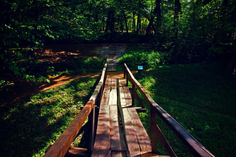 Wooden timber bridge spanning a lush green landscape, surrounded by trees and natural vegetation, illustrating sustainable bridge design concepts.